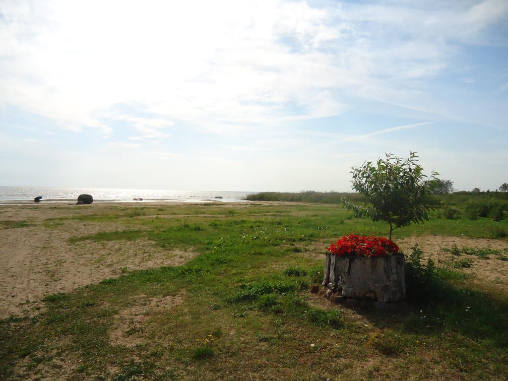 Paeevatalu Camping Hotel Vilusi Ngoại thất bức ảnh